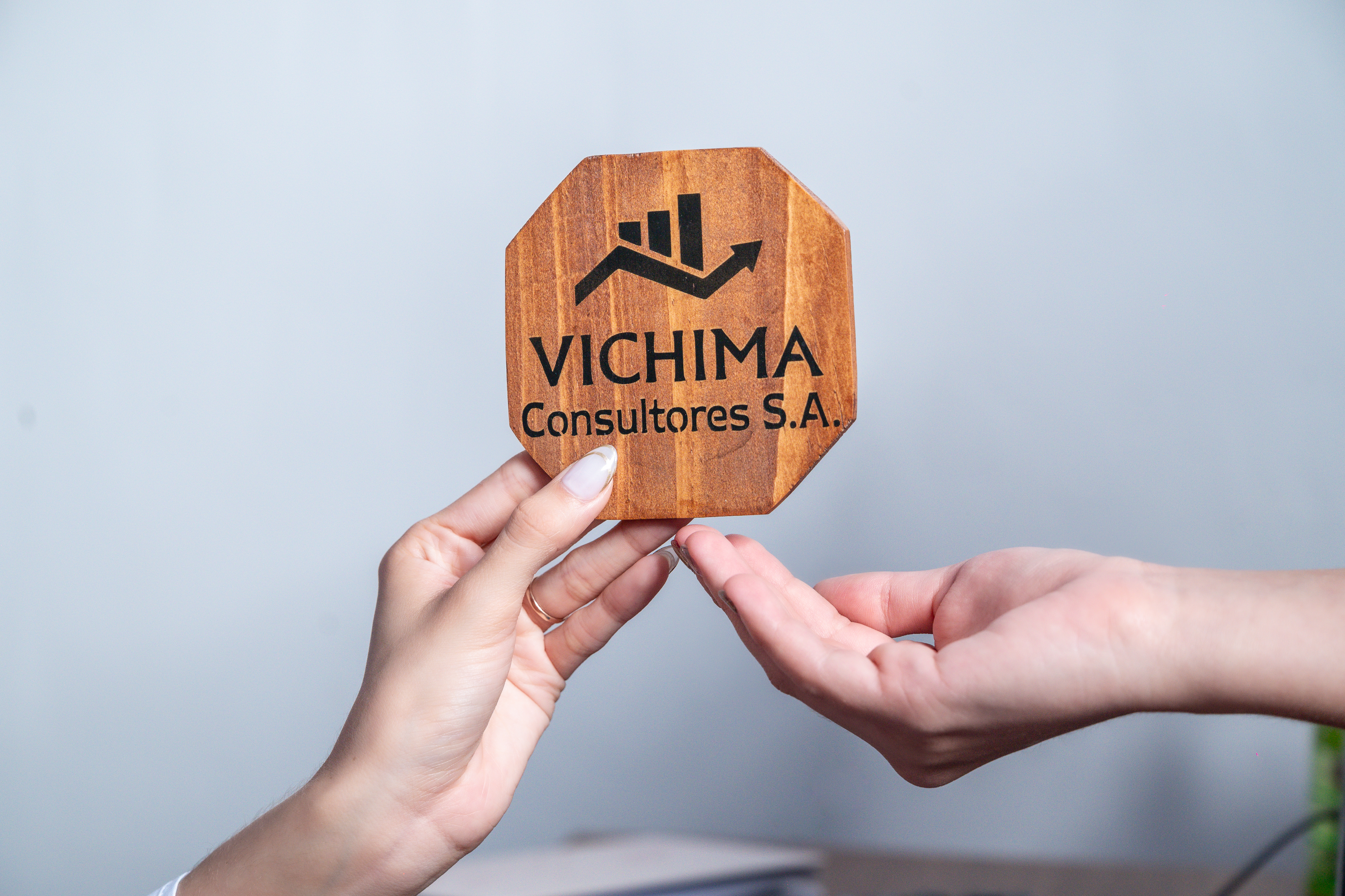 Vichima Consultores Estrategia
